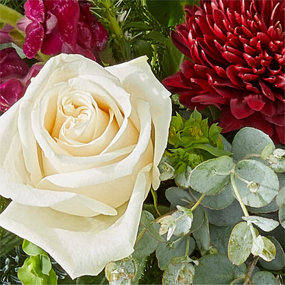 Cranberry Fizz Bouquet –  Fleuriste East Angus Et Maison Du Cadeau, East Angus PQ