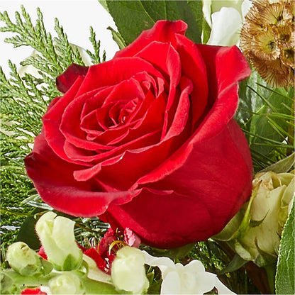 Deck the Halls Bouquet –  Fleuriste East Angus Et Maison Du Cadeau, East Angus PQ