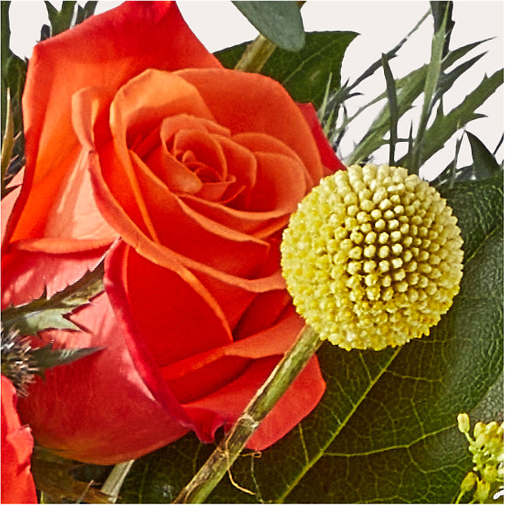 Disco Bouquet –  Fleuriste East Angus Et Maison Du Cadeau, East Angus PQ