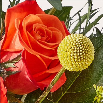 Disco Bouquet –  Fleuriste East Angus Et Maison Du Cadeau, East Angus PQ