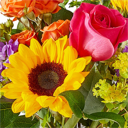 Vibrant Greetings Bouquet –  Fleuriste East Angus Et Maison Du Cadeau, East Angus PQ