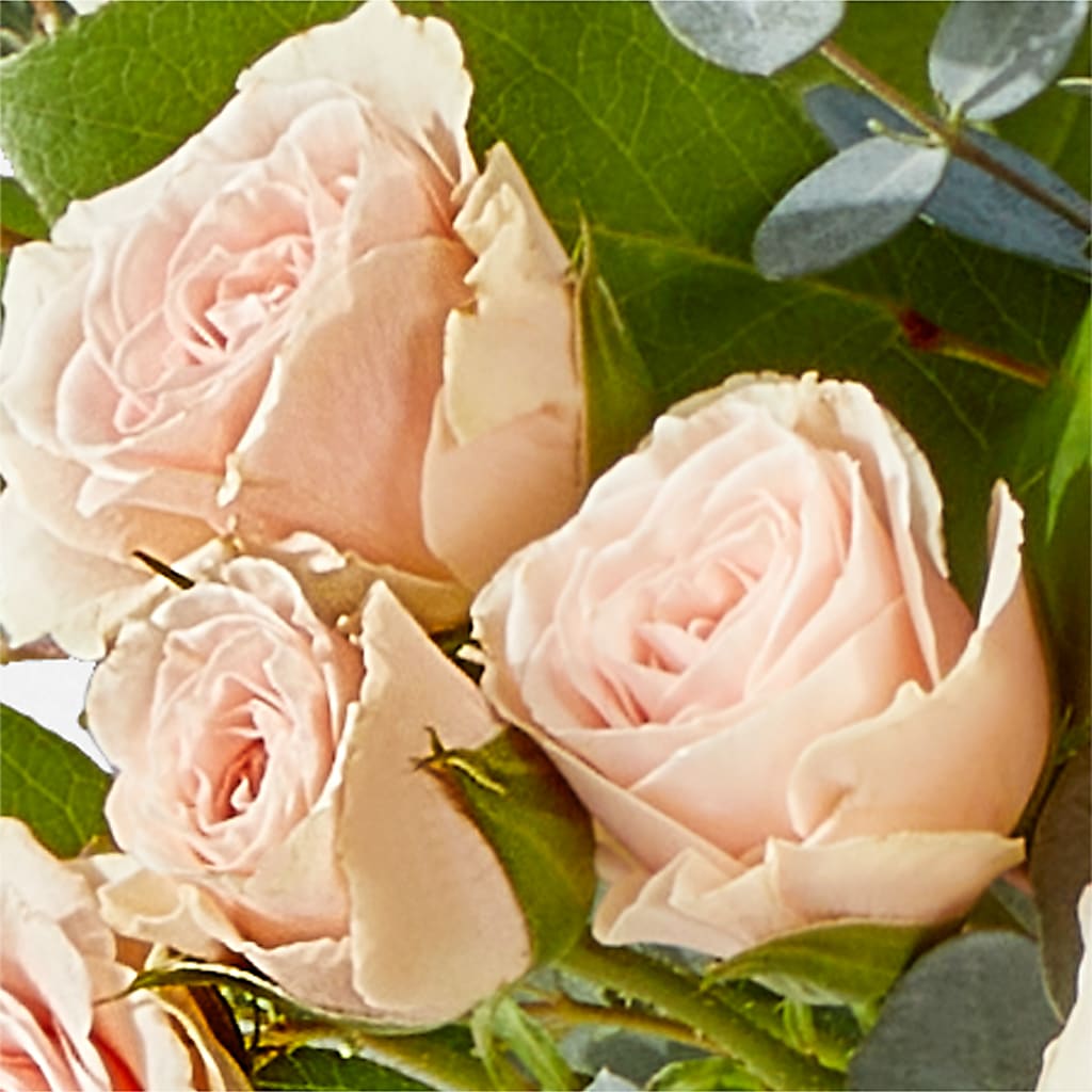Inspired Bouquet –  Fleuriste East Angus Et Maison Du Cadeau, East Angus PQ