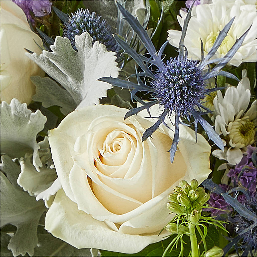 Shooting Star Bouquet –  Fleuriste East Angus Et Maison Du Cadeau, East Angus PQ