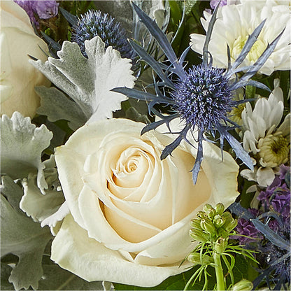 Shooting Star Bouquet –  Fleuriste East Angus Et Maison Du Cadeau, East Angus PQ
