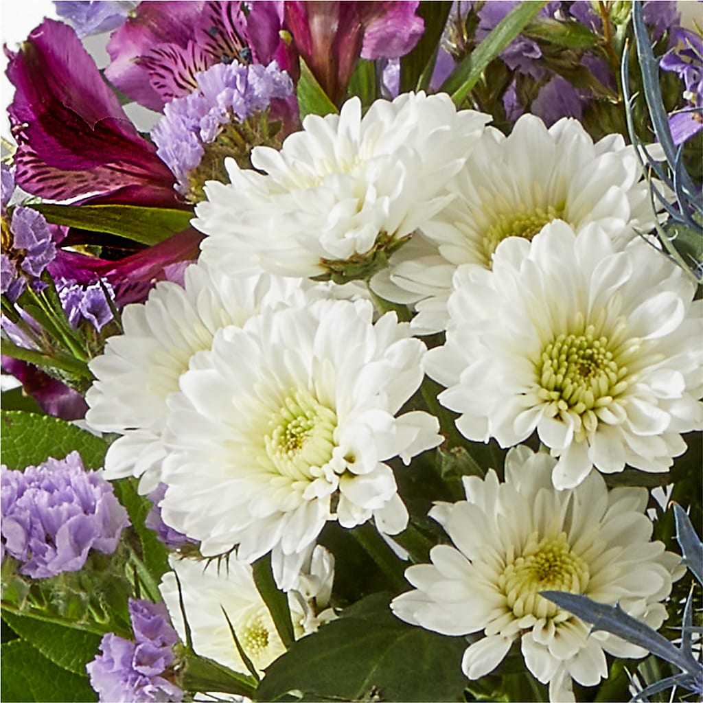 Shooting Star Bouquet –  Fleuriste East Angus Et Maison Du Cadeau, East Angus PQ