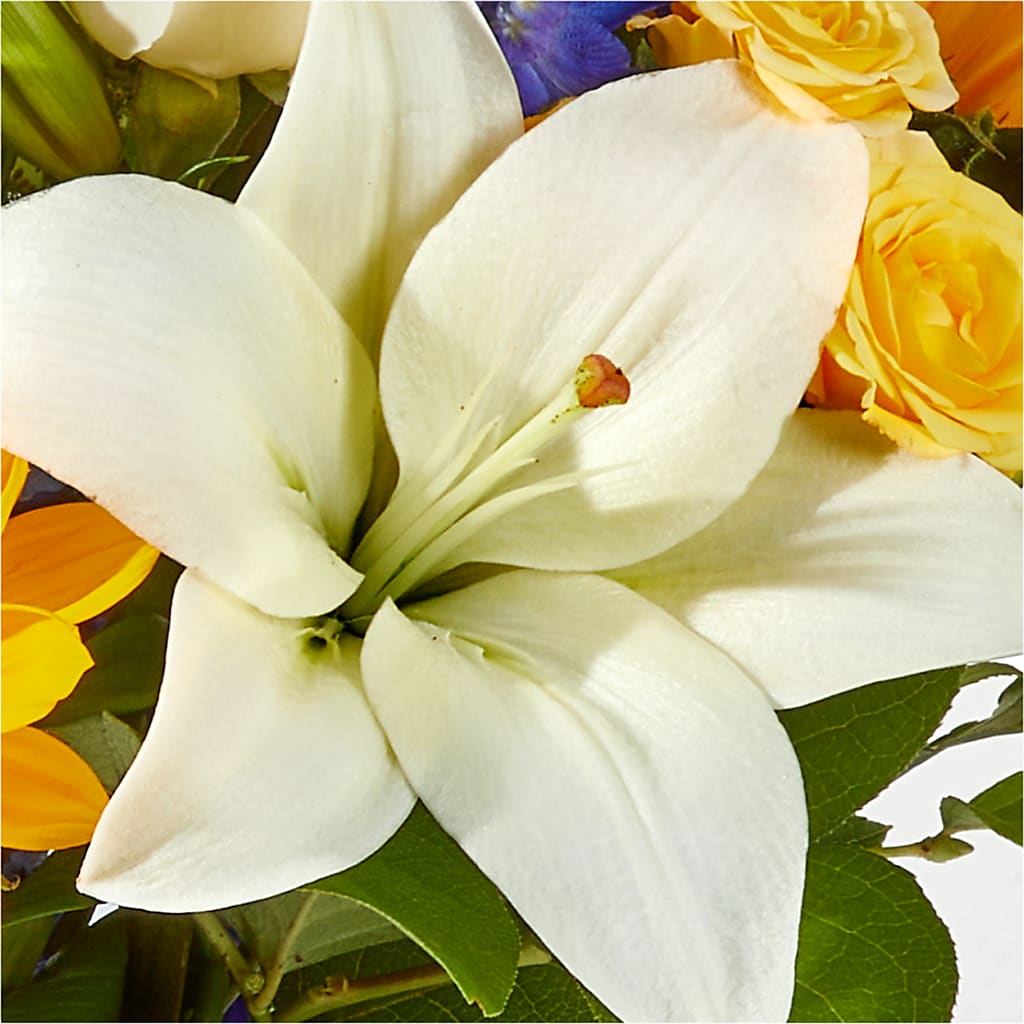 Wonderfully Sunny Bouquet –  Fleuriste East Angus Et Maison Du Cadeau, East Angus PQ