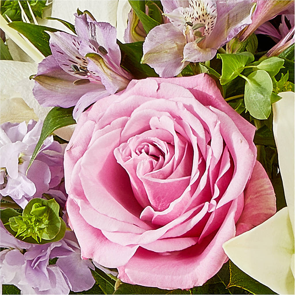 Daydreamer Bouquet –  Fleuriste East Angus Et Maison Du Cadeau, East Angus PQ