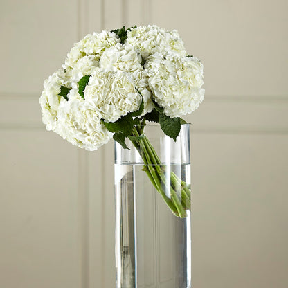 White Hydrangea Hand-Tied Bouquet –  Fleuriste East Angus Et Maison Du Cadeau, East Angus PQ