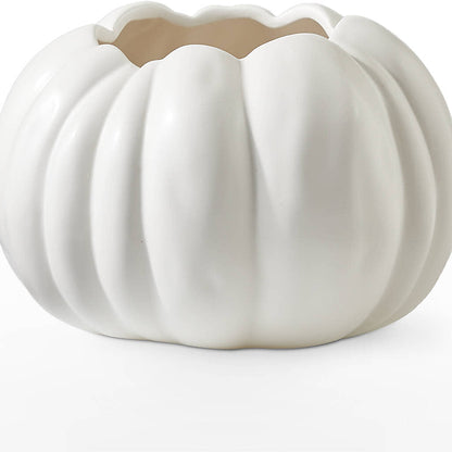 Pumpkin to Talk About Bouquet –  Fleuriste East Angus Et Maison Du Cadeau, East Angus PQ